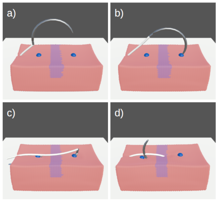 Surgical suturing simulation with a PBD suture and MPM soft tissue